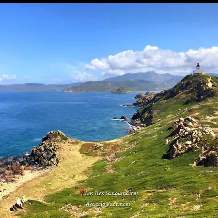 T2 Type New Yorkais Appartamento